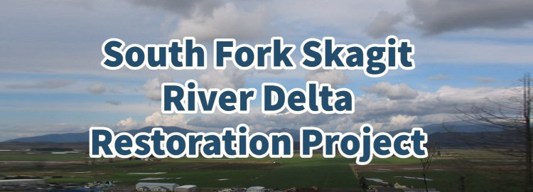 South Fork Restoration Project